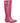 Cotswold Women Long Boots - Windsor Tall Wellington in 3 Colours, 3-12