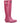 Cotswold Women Long Boots - Windsor Tall Wellington in 3 Colours, 3-12