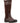 Cotswold Women Mid Boots - Painswick Boot in Brown, 3-8