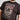 D555 BLACKPOOL Official Pink Floyd Printed T-Shirt For Men in Washed Black, 2XL-10XL